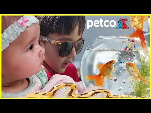 , title : 'Family Fun Trip to PetCo Animals for Kids | Jai Bista Show'