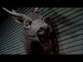 Evil Dead II Dead By Dawn 1987 Review