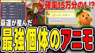【アニモ】確率15万分の1！？最強個体スーパースターのマジョボウソウでタマゴ探してみたw【Aniimo】