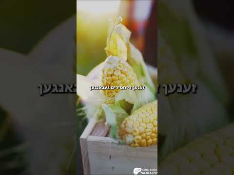 שלומקע