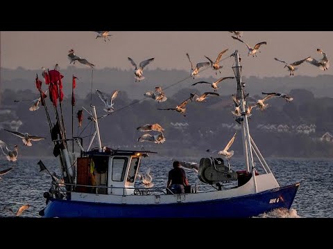 Was an diesem Freitag wichtig ist - Euronews am Abend 30.07.