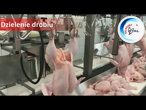 , title : 'Dzielenie drobiu - Poultry cut-up line'