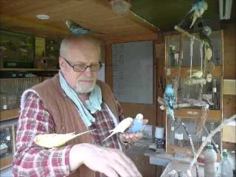 2014 04 12 Der Wellifluestererfilm des Tages