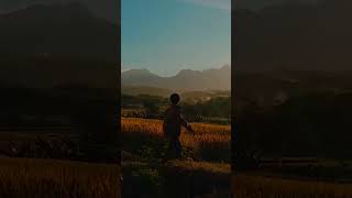 Download lagu Noah ' Taman Langit' #noah #tamanlangit #ariel  #videoshorts mp3 Download lagu Noah ' Taman Langit' #noah #tamanlangit #ariel  #videoshorts mp3