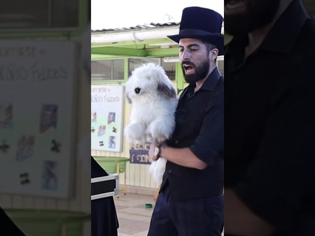 Vídeo relacionado con ¡Initium magia!: Trucos para ser aprendiz de mago (La Esfera Kids)