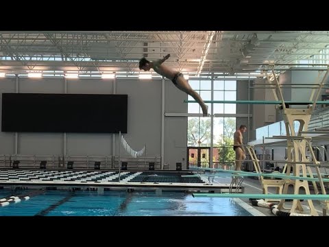 101a Front Dive Straight 1m Springboard 1.4