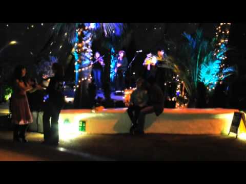 Cornish Music and Dance by Dall at The Eden Project (3 of 4)