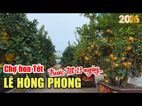 Le Hong Phong Tet Flower Market (23 days before Tet) | January 24, 2026.