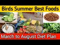 Budgies Summer Foods March To August Diet Plan For All Birds Summer Softfoods Budgies Parrots