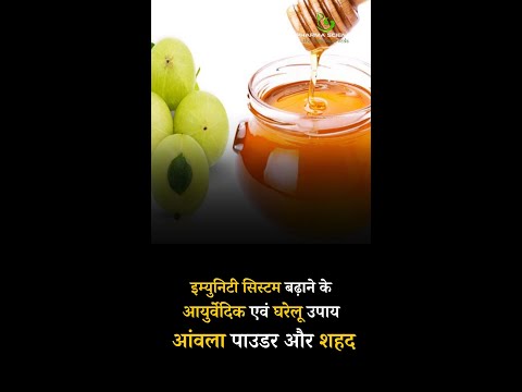 Ayurvedic and Home Remedies to increase Immunity system Amla Powder and Honey #amlapowder #honey