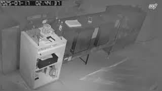 Câmera flagra homem furtando dinheiro de padaria durante madrugada em Coremas, Sertão da Paraíba