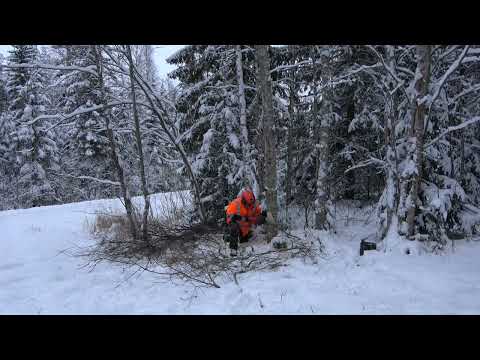 Jounin tarkkuuskaato? - Tuleeko huti?