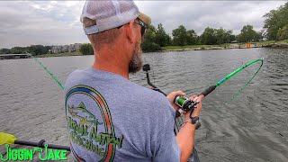 I Dropped a Whole White Bass Down AND This is What Happened!!!