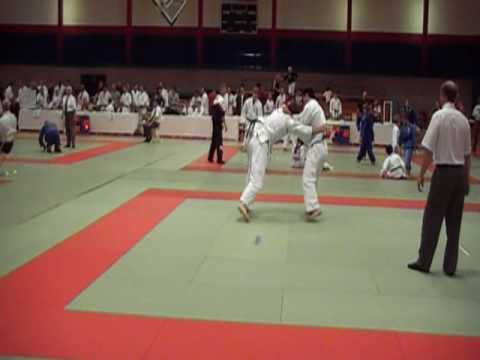Nicolae Ivan Judo