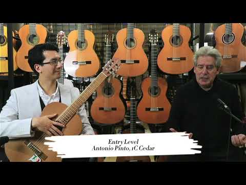Antonio Pinto 1C Cedar: Entry Level Classical Guitars - Daniel Nistico Guitar Range Review