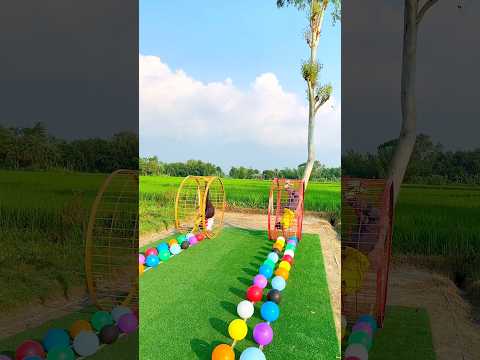 Brazil who can win the champions?