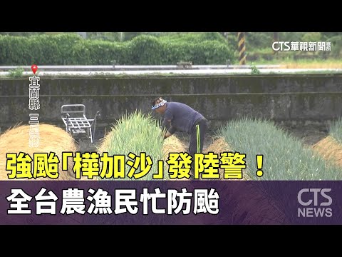 強颱「樺加沙」發陸警！　全台農漁民忙防颱