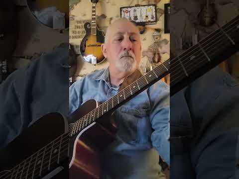 Seagull  Entourage CW Acoustic-Electric Guitar image 13