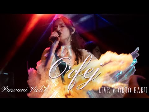 Parvani Violet and DallasRecordsTV