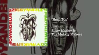 Head Top - Ziggy Marley and the Melody Makers | Joy and Blues (1993)