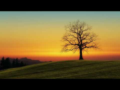 Anne Dudley - Scarborough Fair (Official Music Video)