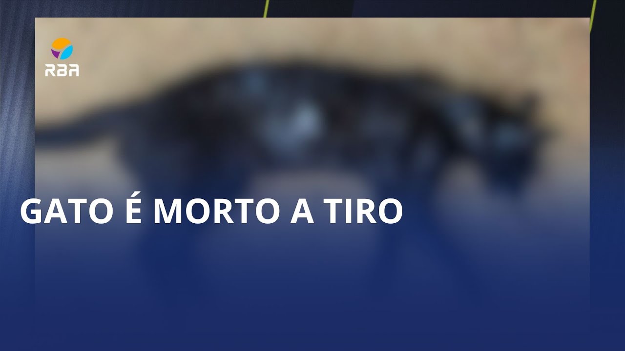 Conflito entre vizinhos