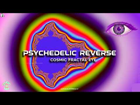 Fractal Harmony: Techno Trance & Trippy Visuals #mandelbrot #trippy #mathart #8 @PsychedelicReverse​