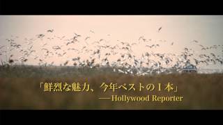 Trailer Preview Image