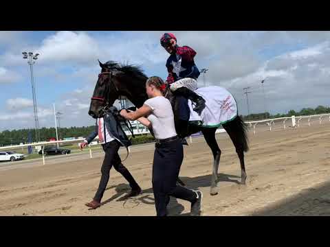 Plantstepsdream vinner Malmö Stads Pris 2019