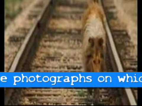 Alphaville Lassie Come Home (original version)+ lyrics