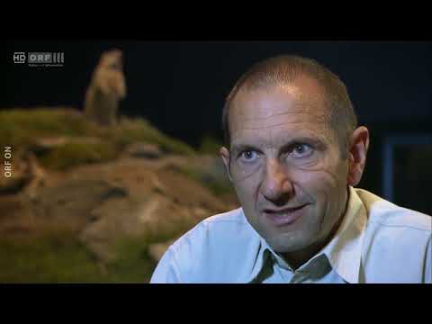 Land der Berge: Natur schafft Wissen - Nationalpark Hohe Tauern (2018)
