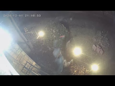 Vandals Target Minneapolis 89-Year-Old's Home 9 Times