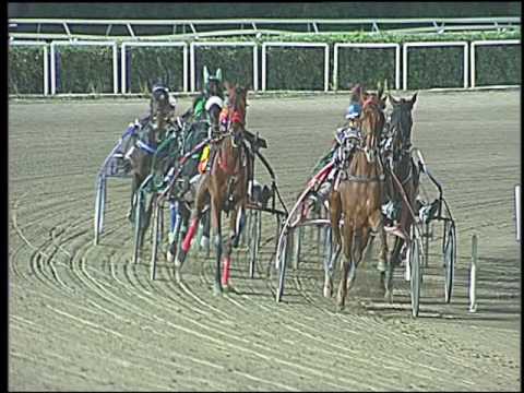 Trotto 18/11/2016 - 6ª corsa