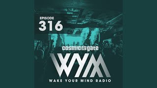 What It Takes (WYM316)