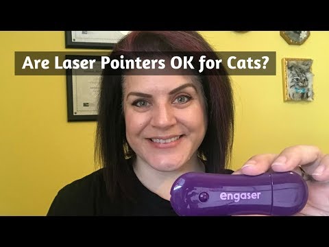 Are Laser Pointers Good Toys for Cats?