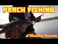 Video Thumbnail for Perch fishing | Blackstrap Reservoir