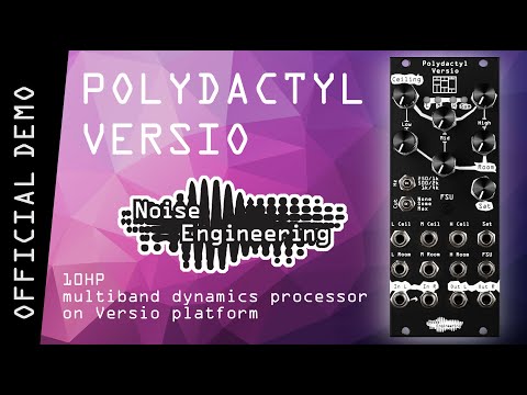 Noise Engineering Polydactyl Versio Silver (BPNYC) image 2