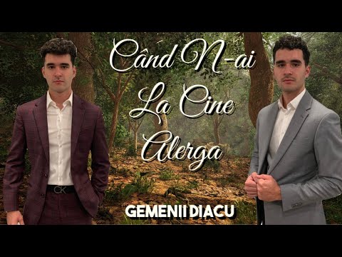 Gemenii Diacu - Când N-ai La Cine Alerga ( Versuri )
