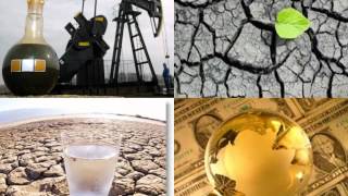 year supply food storage