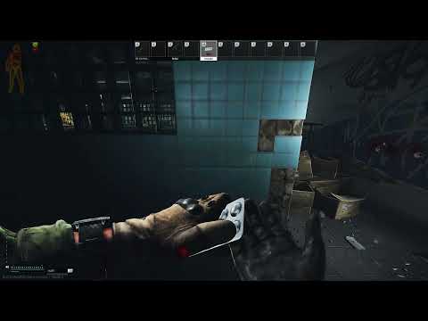 VOIP in tarkov is great.