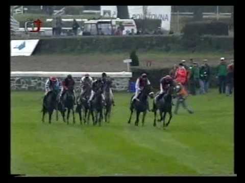 Velká Pardubická 1998 - Grand steeplechase in Pardubice. Full race
