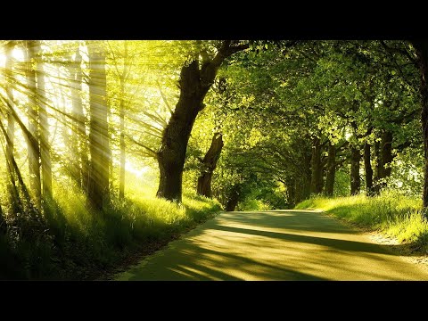 Positive Music N-1(Last Upload of 2020)