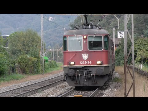 2019-10-12 Ferrovia del Ceneri 4/6 - Stazione di Mezzovico