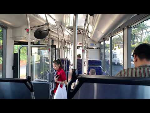 Transit Systems Sydney #5050 - Mercedes-Benz OC500LE (ZF EcoLife)