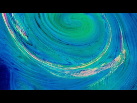 Fractal Beef - I Asked Jeeves But He Didn't Answer (Official Video)