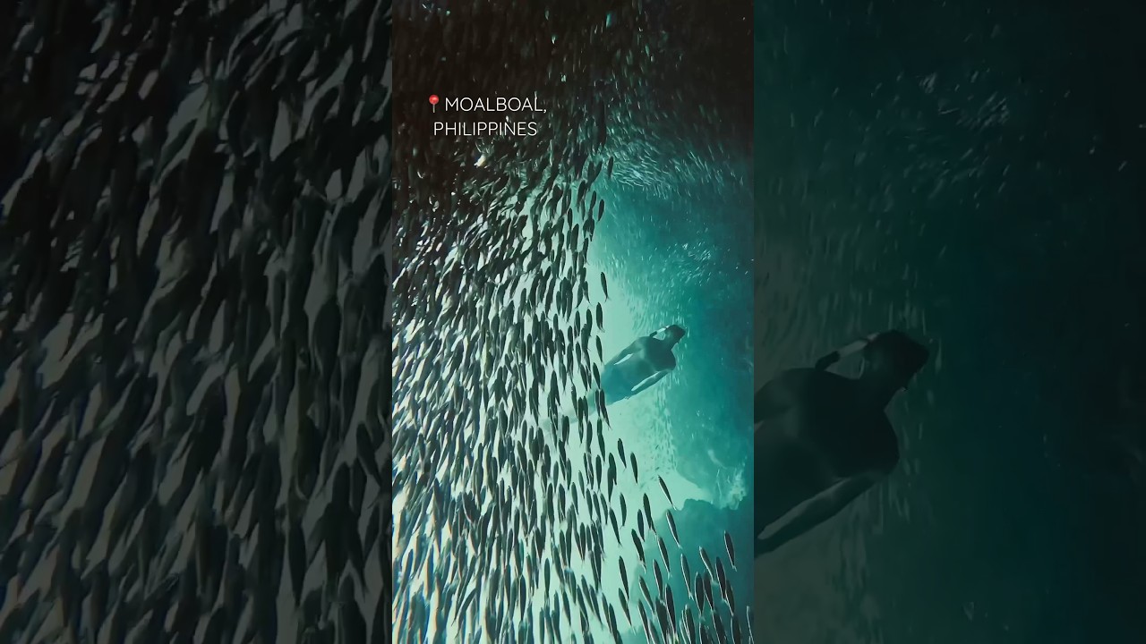 YouTube Short thumbnail