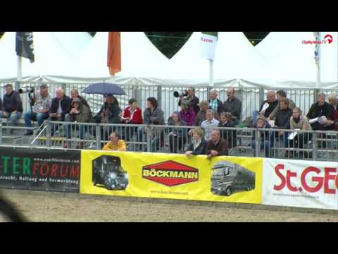 Diamantde 5 jährig DKB Bundeschampionat