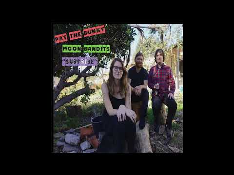 I Dont Want To Drink I Dont Want To Die - Moon Bandits