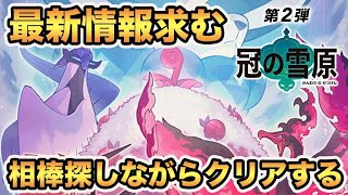 【ポケモン剣盾】冠の雪原の情報収集しながら相棒探す【生放送】