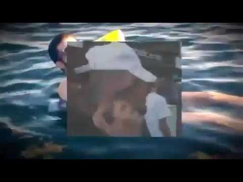 BEFF A avilesakaaviles